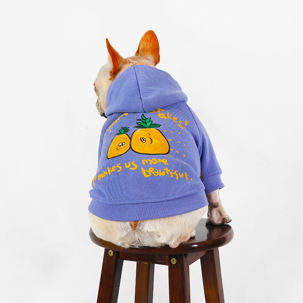 Winter Cartoon Printed Plush Pet Hoodie