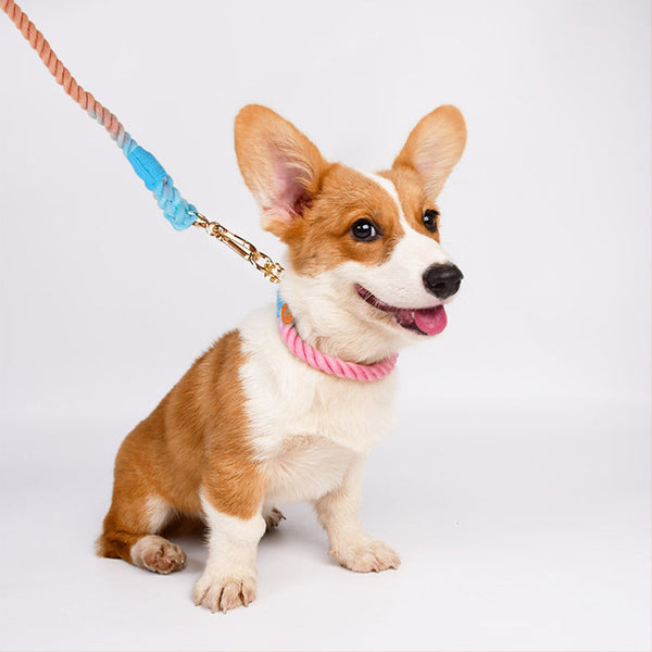 Conjunto de collar y correa para perros de algodón tejido