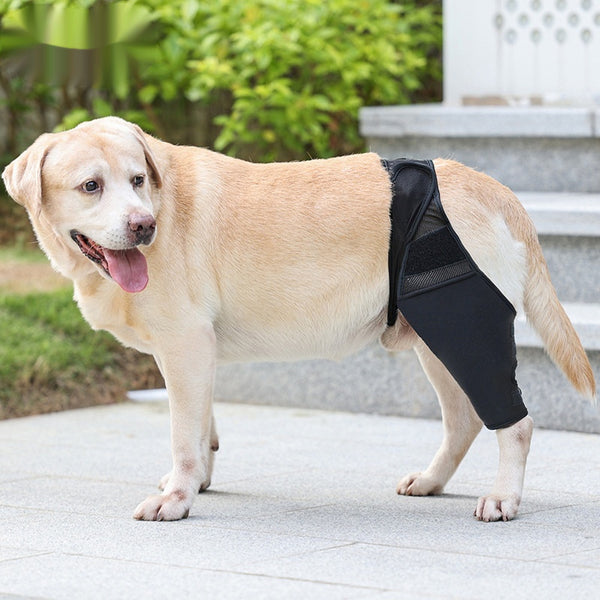 Pet Joint Protector Fracture Disability Fixed Knee Pad Leg Auxiliary Strap Dog Postoperative Protective Cover