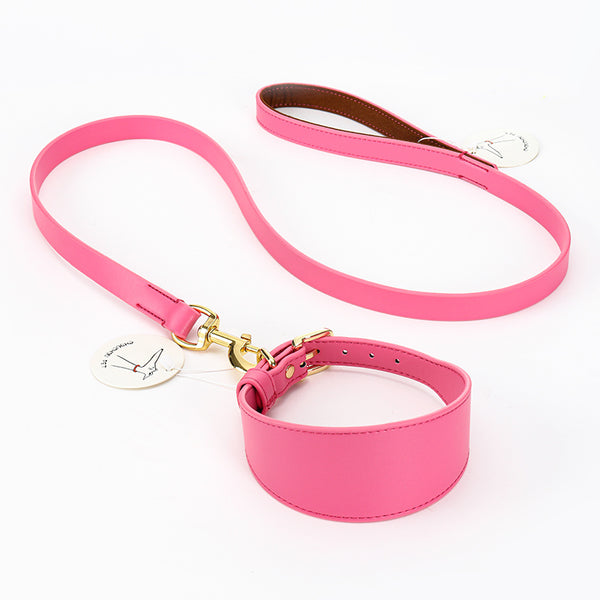 Soft Hand Holding Rope Necklet Set Pet Supplies