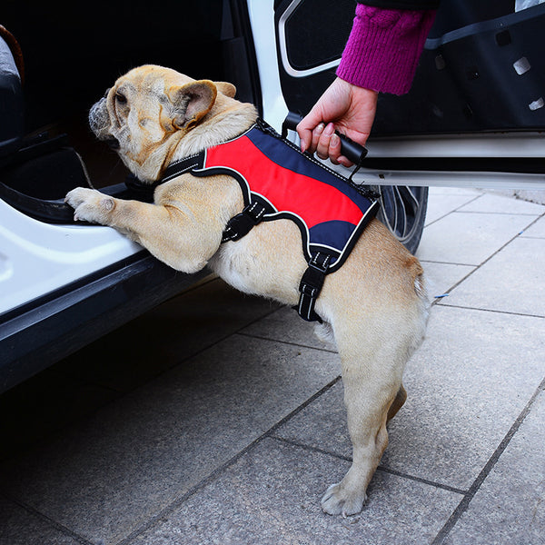 Nuevo chaleco táctico con cuerda para sujetar las manos de mascotas, correa para el pecho para perros grandes