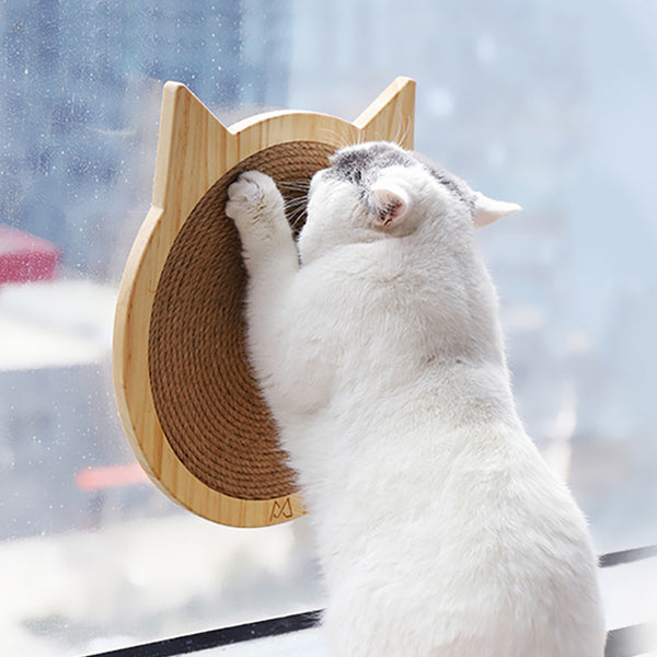 Planche à gratter pour chat, tapis à gratter, fixation murale, avec ventouse, jouet pour soins des griffes de chat