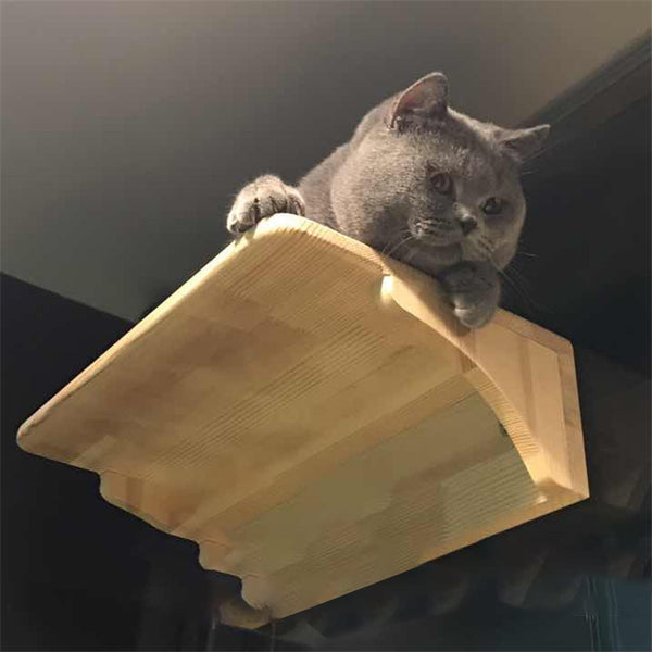 Wall-mounted wooden cat litter