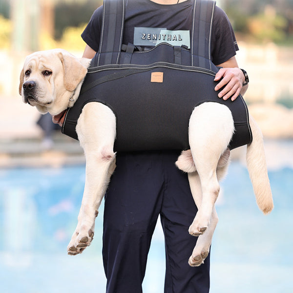 Sac à dos pour chien de taille moyenne et grande taille