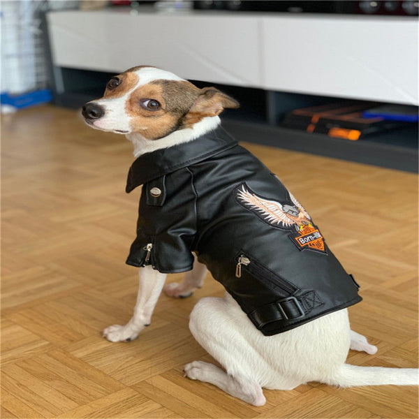 Manteau pour chien