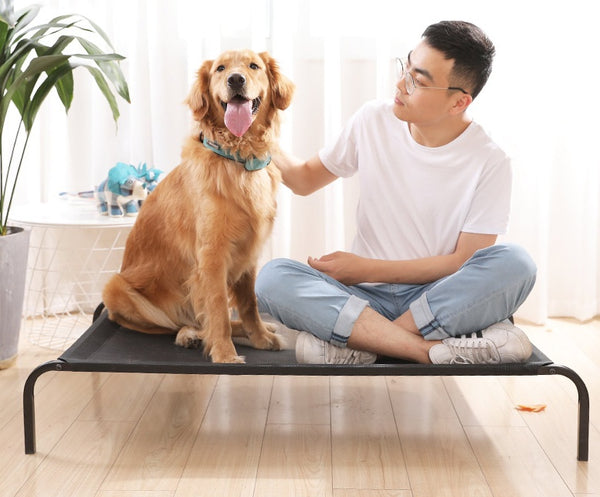 Cama para mascotas extraíble y lavable.