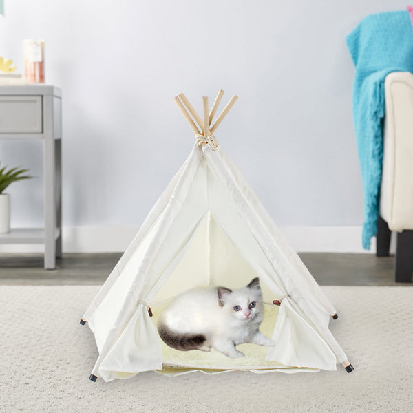 Tente pour animaux de compagnie amovible et lavable avec tissu en coton