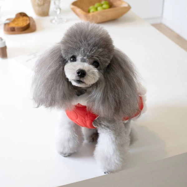 Pet Autumn And Winter Thickening Fur Collar Red Chinese Knot New Year Clothes