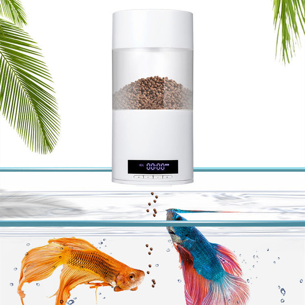 Distributeur automatique de nourriture pour poissons d'aquarium