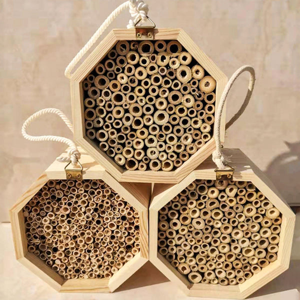 Caja de madera para cría de abejas combinada