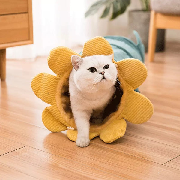 Tunnel amusant et créatif pour chat et chiot, jouet en forme de fruit, furet, lapin, chien