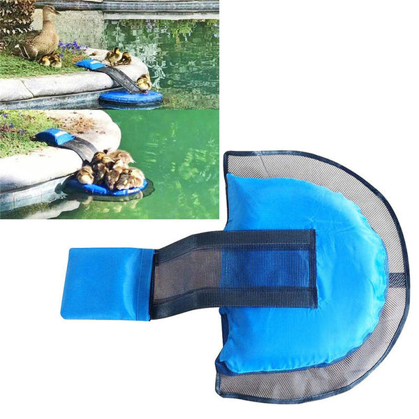 Réseau d'évacuation pour petits animaux de piscine Canal d'évacuation Sécurité et protection de l'environnement Convient aux canards, grenouilles, tortues, tamias