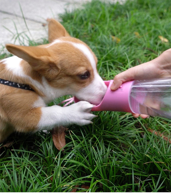 Botella de agua para perros, portátil, a prueba de fugas, dispensador de agua y comida para perros, botella de agua ligera para viajes y caminatas