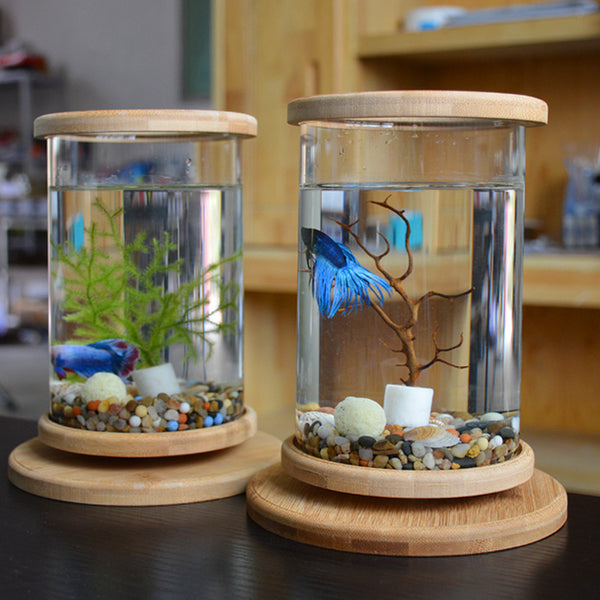 Petit aquarium en verre de bureau avec base en bambou, mini aquarium décoratif pour poisson