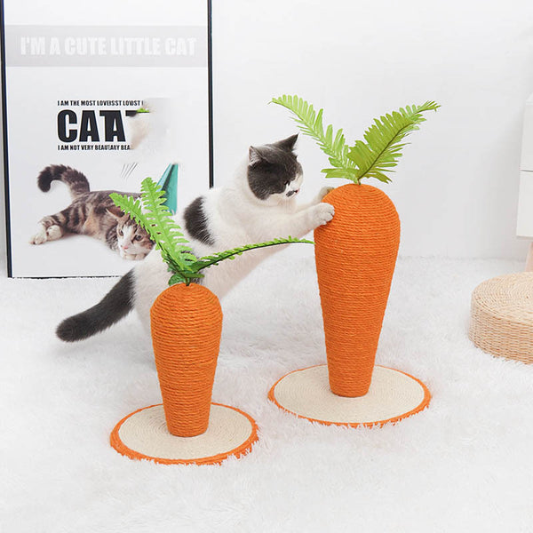 Fournitures pour animaux de compagnie en sisal bicolore carotte