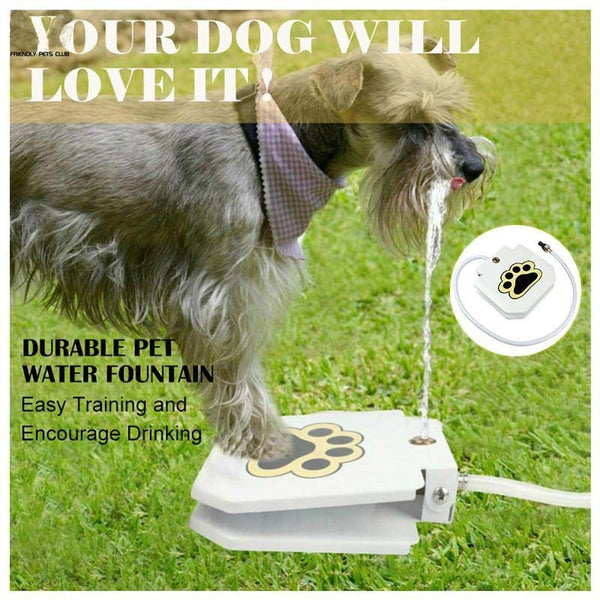 Household Pet Intelligent Automatic Water Dispenser