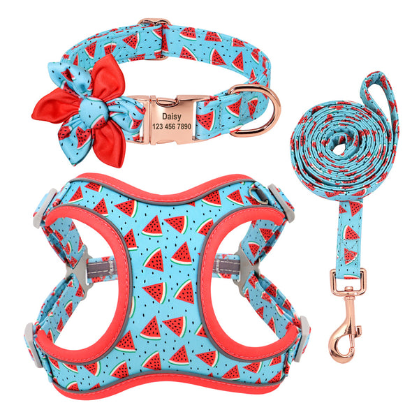 Correa para perros Perro pequeño Teddy Corgi Suministros Collar