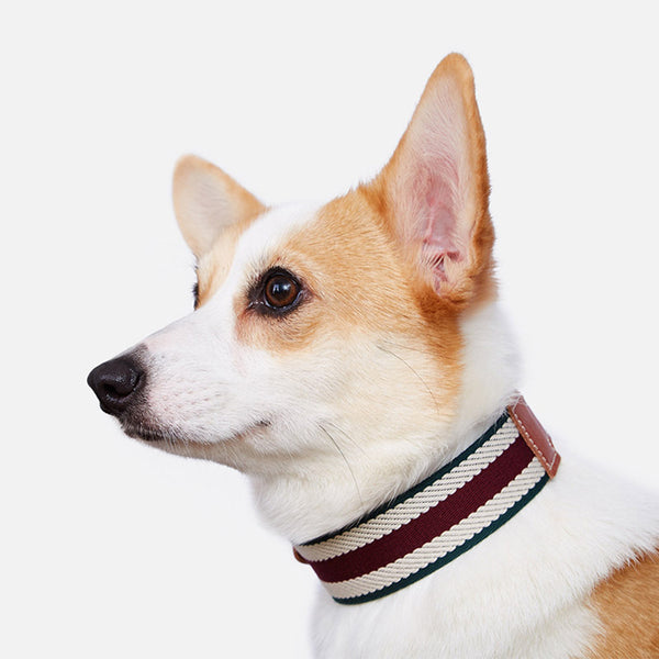 Pet Collar Woven Adjustable Neck Sleeve