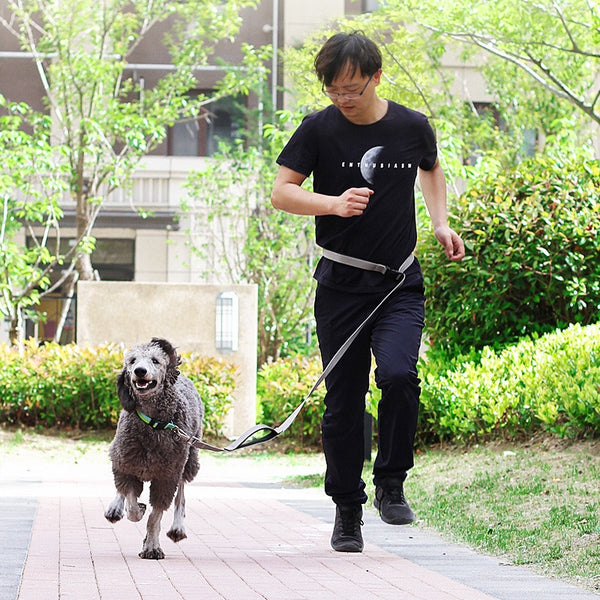 Laisse multifonctionnelle pour chien de 1,8 m de long pour traction et course