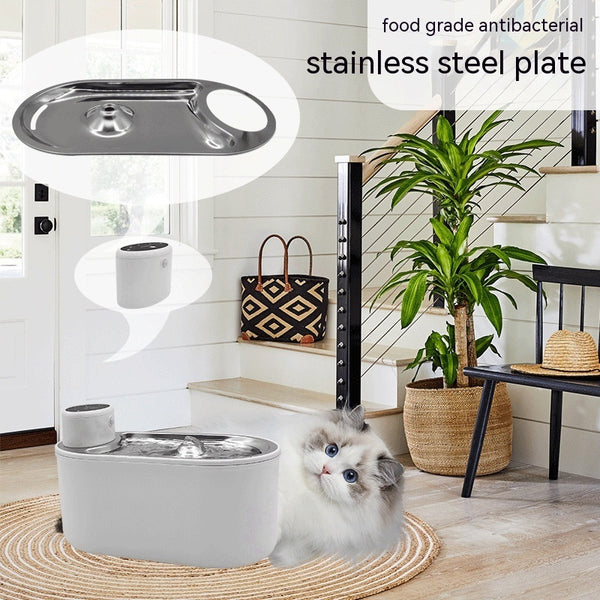 Distributeur d'eau intelligent sans fil pour animaux domestiques, plaque en acier inoxydable, pour chat et chien