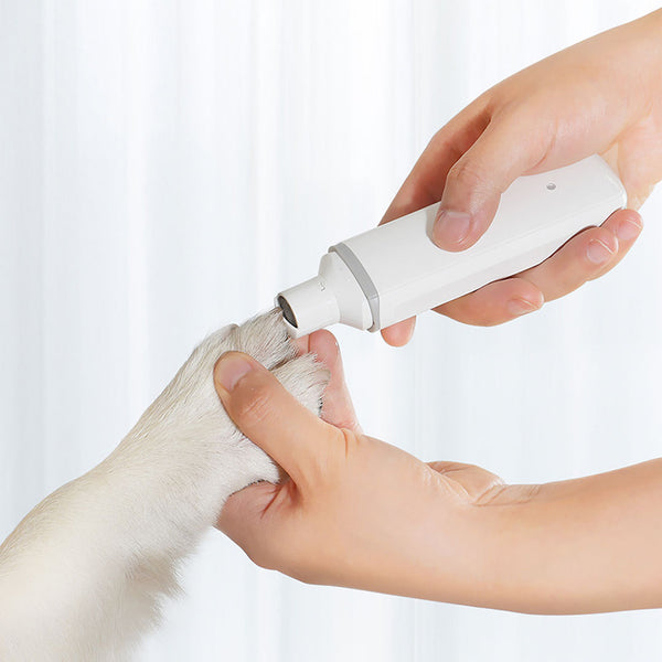 Polisseuse à ongles électrique pour animaux de compagnie pour chats et chiens