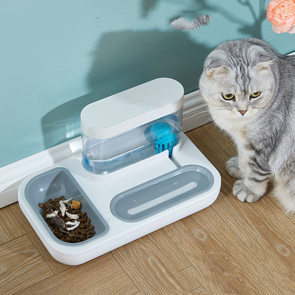 Fontaine à boire automatique anti-renversement pour chat mangeant et buvant un bol de riz