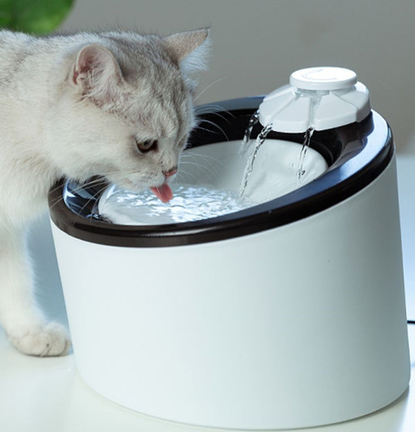 Distributeur automatique de boissons pour chats et chiens