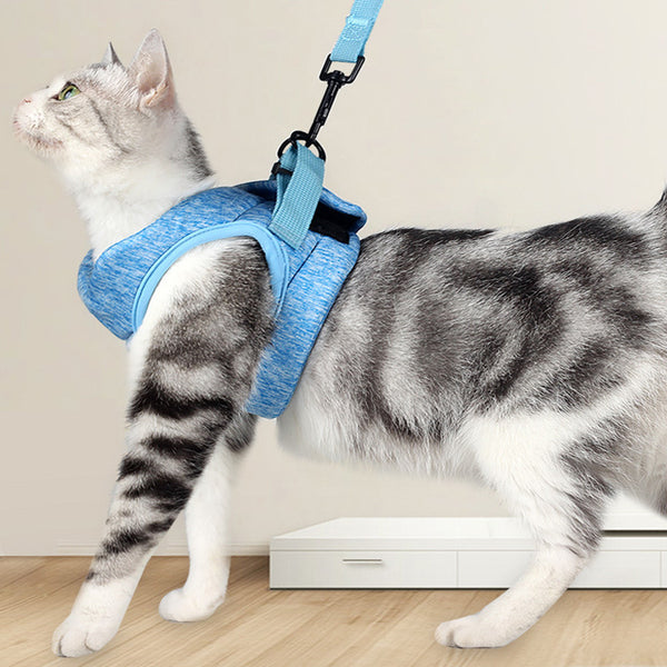 New Cat Traction Rope Breathable Light Chest Strap