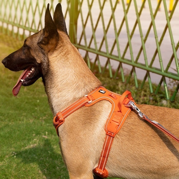 Arnés reflectante para perros con cuerda para sujetar las manos