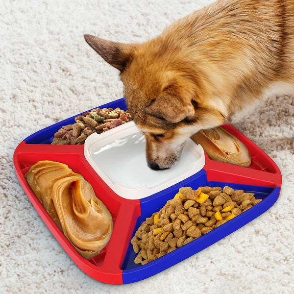 Pet Supplies Dog Automatic Feeder