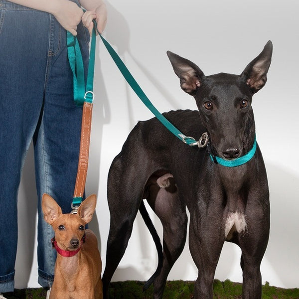 Cadena de cuerda de tracción para perros grandes que no se agarra de las manos Cinturón de punto