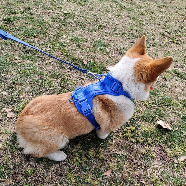 Chaleco de tracción para perros con cuerpo ajustado y transpirable a prueba de explosiones para mascotas