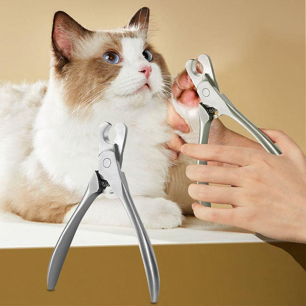 Coupe-ongles professionnel pour animaux de compagnie