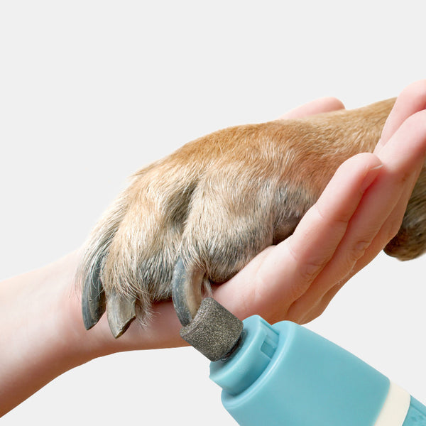 Polisseuse à ongles et tondeuse à poils pour animaux de compagnie, une machine à double usage pour animaux domestiques