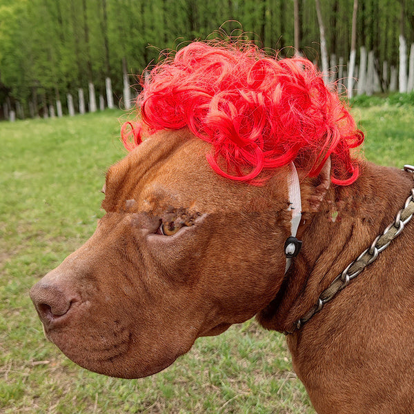 Peluca para mascotas con flequillo afro y coleta