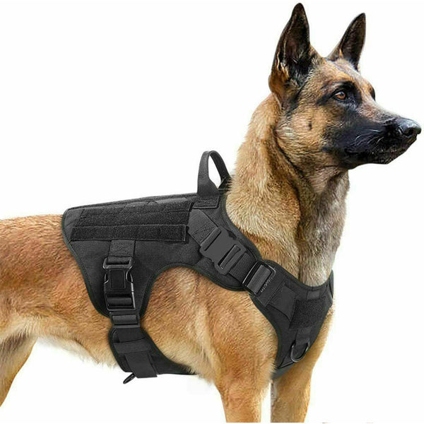 Harnais tactique militaire pour chien de berger allemand réglable pour chien de compagnie