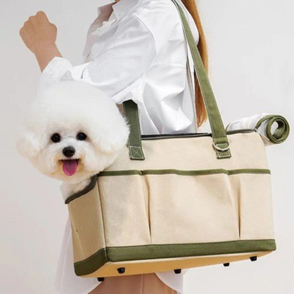 Sac pour chat Teddy Bear Go Out Portable Portable