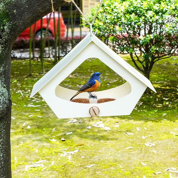 Nid d'oiseau de décoration extérieure de cour anti-pluie de nourriture pour oiseaux en fer simple de style européen