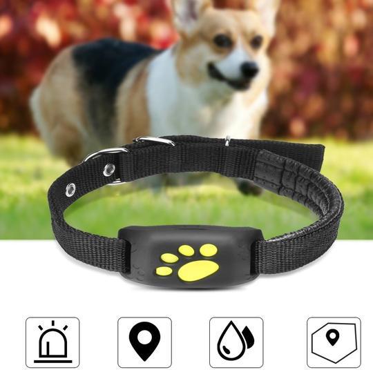 Traceur GPS pour animaux de compagnie