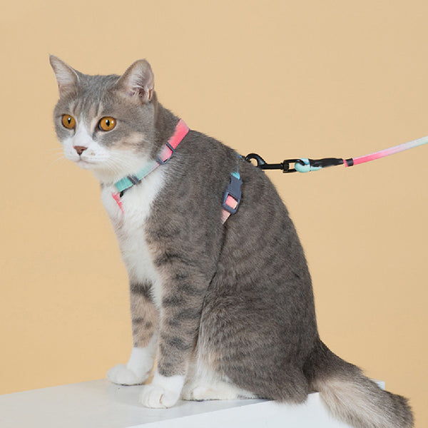 Fashion Cat Leash To Prevent Breaking Free