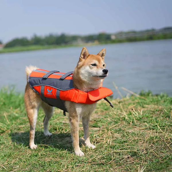 Chaleco salvavidas para mascotas Ropa de baño para perros