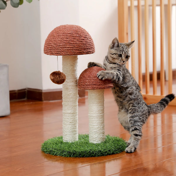 Arbre à chat avec corde en sisal naturel pour chatons