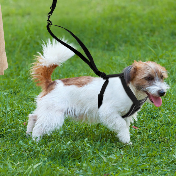 Nylon Dog Breathable Reflective Anti-riot Chest Strap