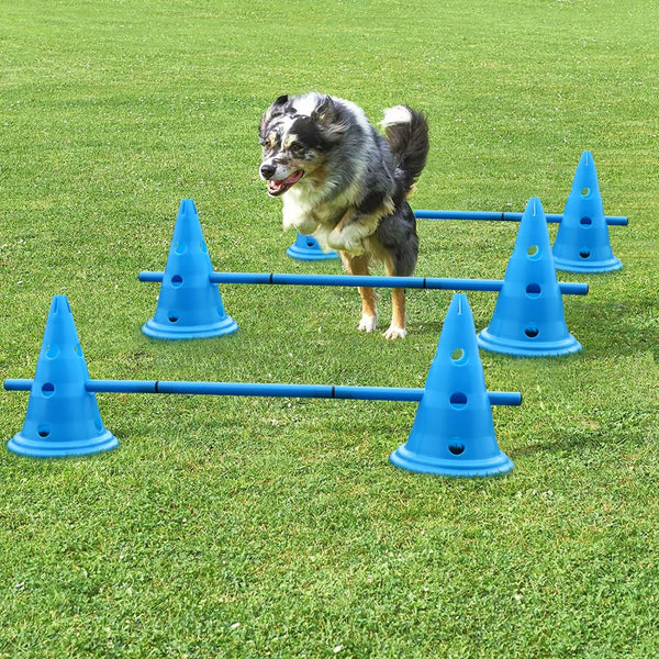 Juego de entrenamiento de vallas para perros de 3 piezas