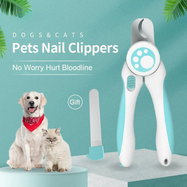 Coupe-ongles pour animaux de compagnie mignons Coupe-ongles pour chiens à économie de travail Ciseaux Coupe-griffes pour chats Tondeuse Animaux Fournitures de toilettage pour animaux de compagnie