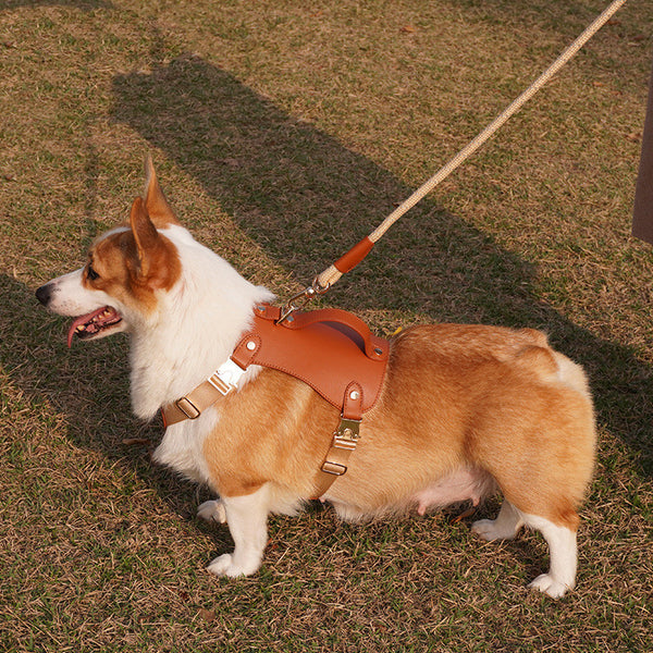 Paquete de cuerda de transporte con correa para perros y chaleco de microfibra para exteriores