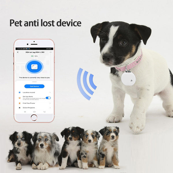 Traceur de localisation intelligent Bluetooth neutre anti-perte pour animaux de compagnie