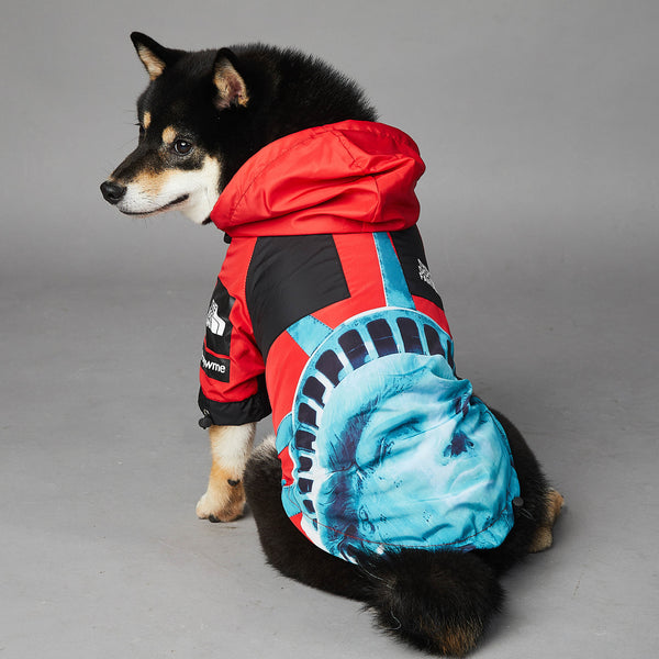 Veste coupe-vent et imperméable pour chien