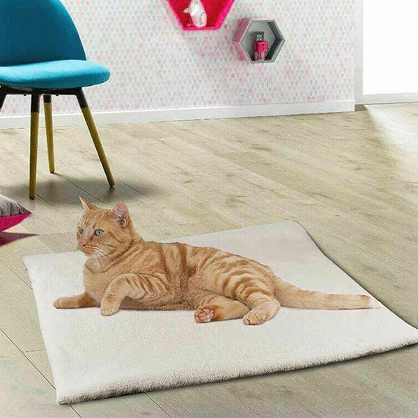 Electric Heating Blanket For Pets Keeps The Cat And Dog Kennels Warm