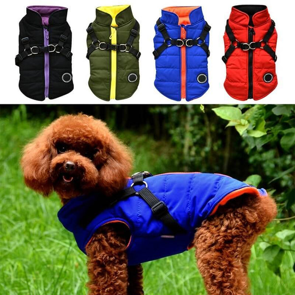 Veste zippée pour chien